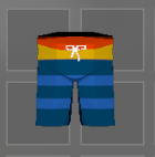 Swimming Trunks.PNG