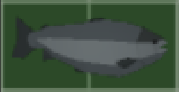 Fish.png