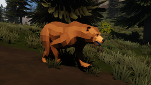 Bear